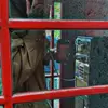 John Gruner - @john.gruner - TikTok
