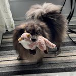 Johnguay Bleuet - @johnguaybleuet - Instagram