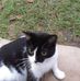 John Guice - Facebook
