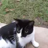John Guice - @john.guice - TikTok