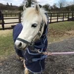 John Guilfoyle - @johnguilfoyle38 - Instagram