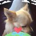 John Guilfoyle - Facebook