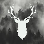 @johnguilfoylephotography - Instagram