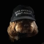 John Guiliano - @gewls44 - Instagram