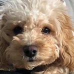 John Guindon - Facebook