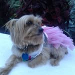 Teresa Guindon-Mader - @roxyguindonjohnstone - Instagram