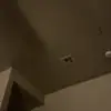 florelor7om - @johnnyandgumm - TikTok