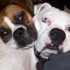 John Gumm - @john.gumm8 - TikTok