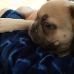 John Gundermann - @gundermannjohn - Instagram