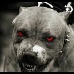 Jon Gunnett - @415ninetwofive510 - Instagram