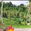 John Guray - @john.guray - TikTok