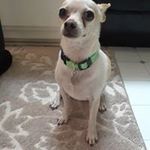 John Gurrisi - @gurrisijohn - Instagram
