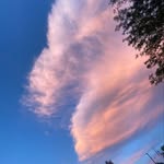 @johngustafsonn - Instagram