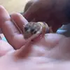 John Hackett - @john.hackett18 - TikTok