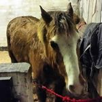 John Haddock - @johnhaddock54 - Instagram