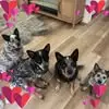 John Hadfield - @john.hadfield8 - TikTok