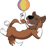 John Hadfield - @thecleverdogtraining - Instagram