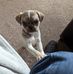 John Haggarty - Facebook