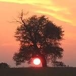 John Hahn - @john_hahn99 - Instagram