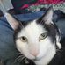 John Haight - Facebook