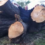 John Hailstones - @johnhailstones - Instagram