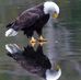 John Halcrow - Facebook