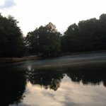 @johnhallinan - Instagram