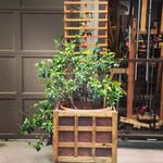 John Halsell - @joti_wood - Instagram