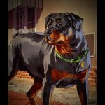 Johnny Halsell - @johnny_that_boy - Instagram