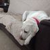 John Haluska - Facebook