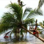 John Halverson - @johnhalverson12 - Instagram
