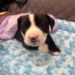 John Hamaker - @hammyman - Instagram