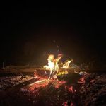 john Haman - @johnhaman008 - Instagram