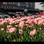 John Hamlin - @hamlin_john - Instagram