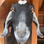 john hampton - @johndhampton2004 - Instagram