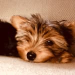 John Hamrick - @john_hamrick - Instagram
