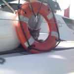 John Hamrick - @mateaboardsvcrewcat - Instagram