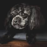 John Hangan - @john.hangan - Instagram