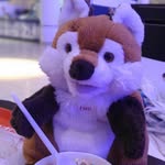 Джон Хэнкович Фокс - @john_hank_fox - Instagram