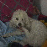 john hammer parrado rodriguez - @john_hanner - Instagram