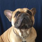 Smith - @johnhannibalsmith - Instagram