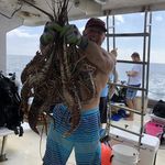 John Hanscom - @aquanarch - Instagram