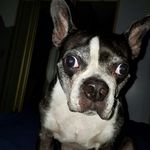 john hanscom - @snowman.1976 - Instagram