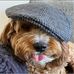 John Harbottle - Facebook