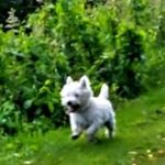 John Harbottle - @john.harbottle - Instagram