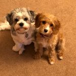 John Hardcastle - @n350nm - Instagram