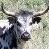 johnharder958 - @johnharder958 - TikTok