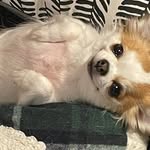 Brent Harger - @john.harger.56 - Instagram