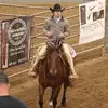 Bull - @hargroder - TikTok