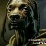 John Harkless - @harklessjohn431 - Instagram